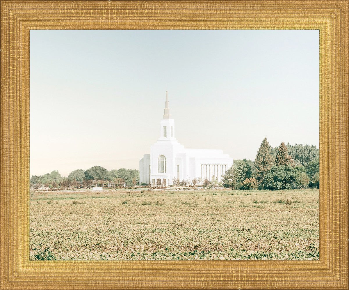 Burley Idaho Immaculate Embrace Blue