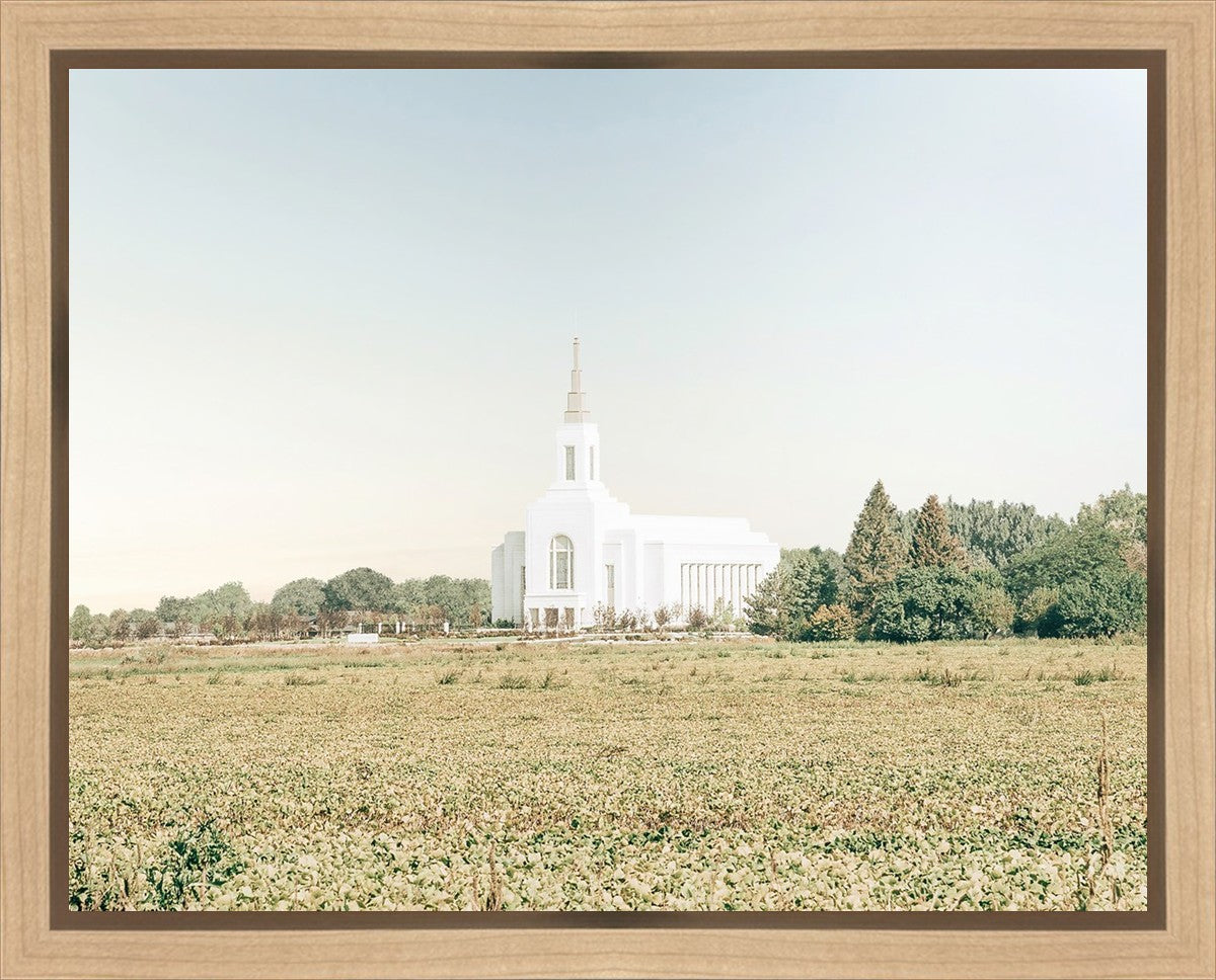 Burley Idaho Immaculate Embrace Blue