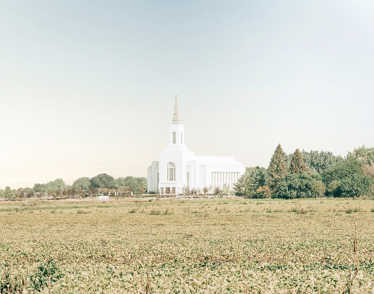 Burley Idaho Immaculate Embrace Blue