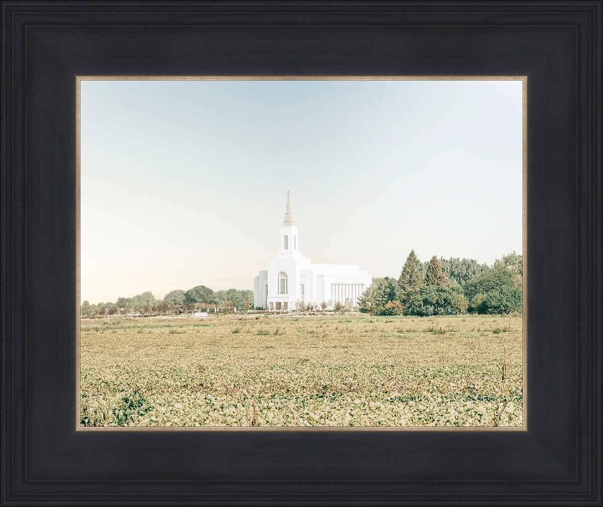 Burley Idaho Immaculate Embrace Blue