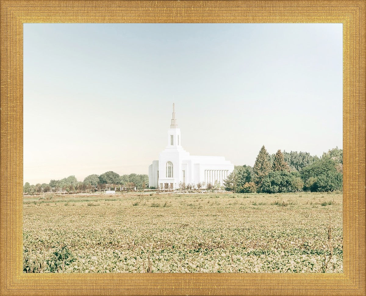 Burley Idaho Immaculate Embrace Blue