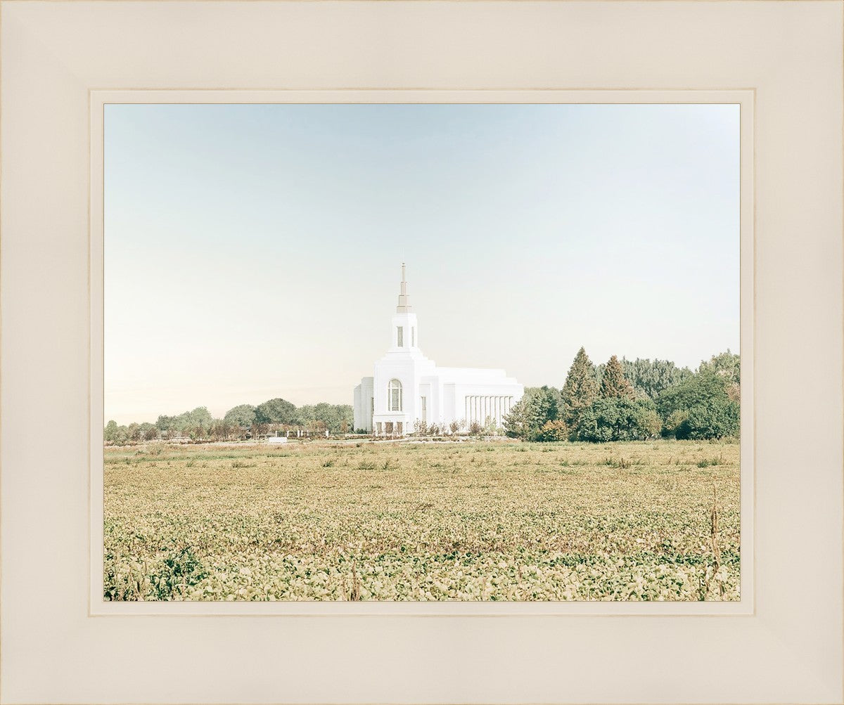 Burley Idaho Immaculate Embrace Blue