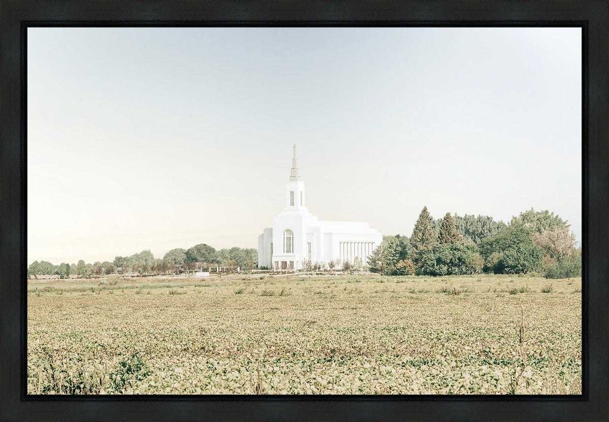 Burley Idaho Immaculate Embrace Blue