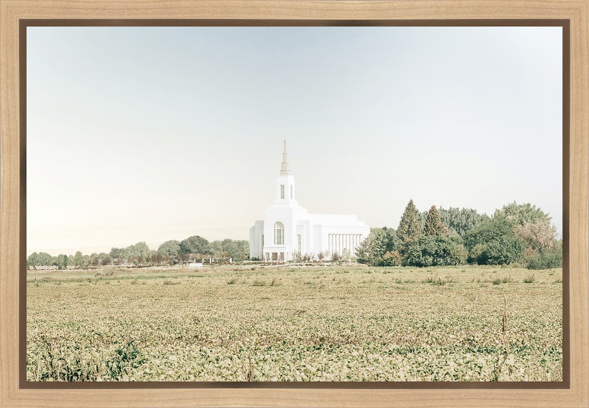 Burley Idaho Immaculate Embrace Blue