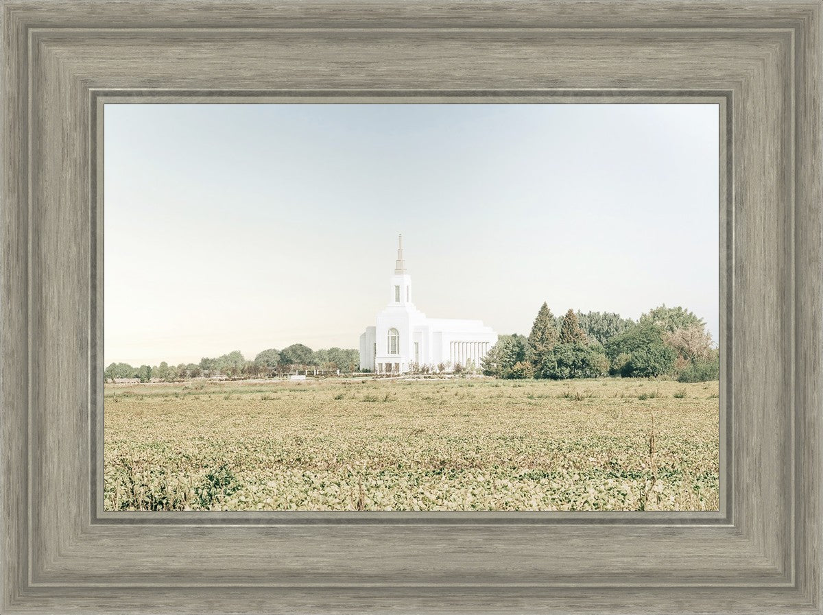 Burley Idaho Immaculate Embrace Blue