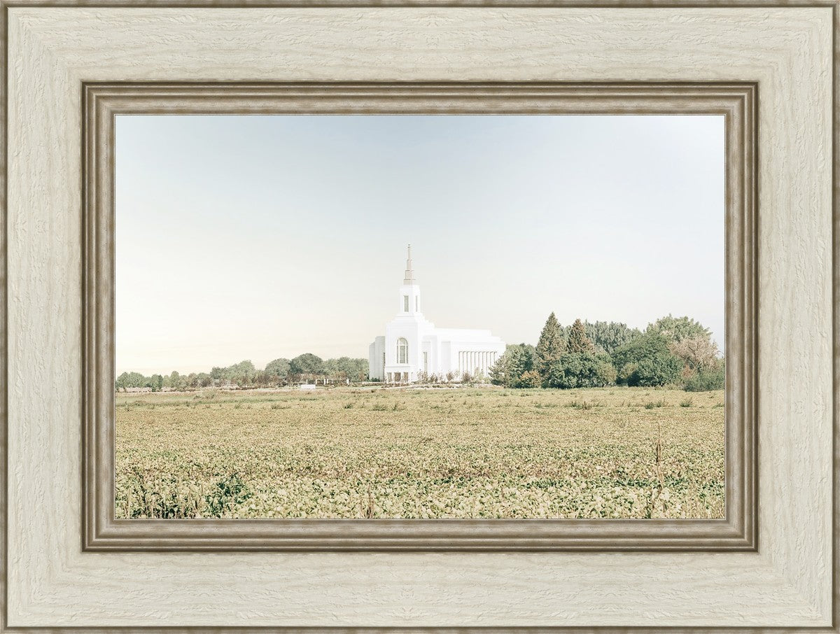 Burley Idaho Immaculate Embrace Blue