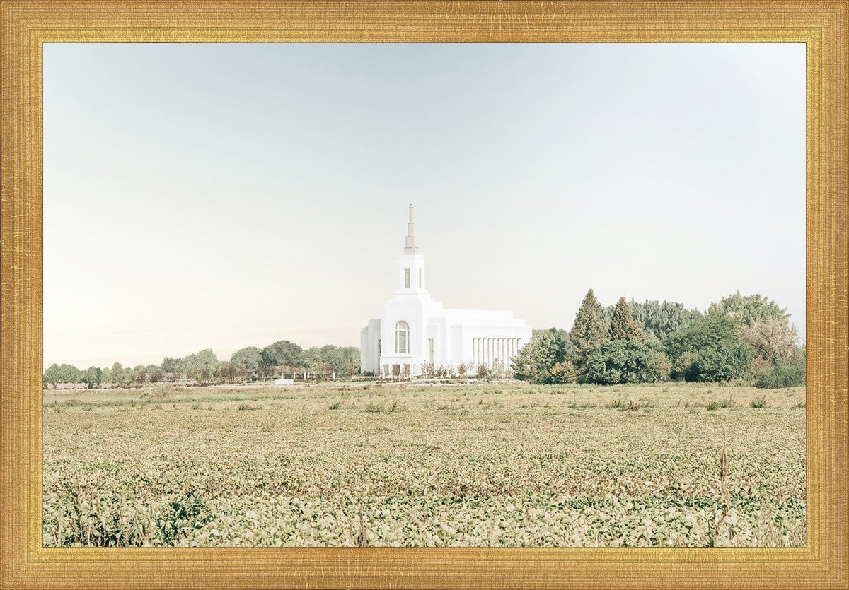 Burley Idaho Immaculate Embrace Blue