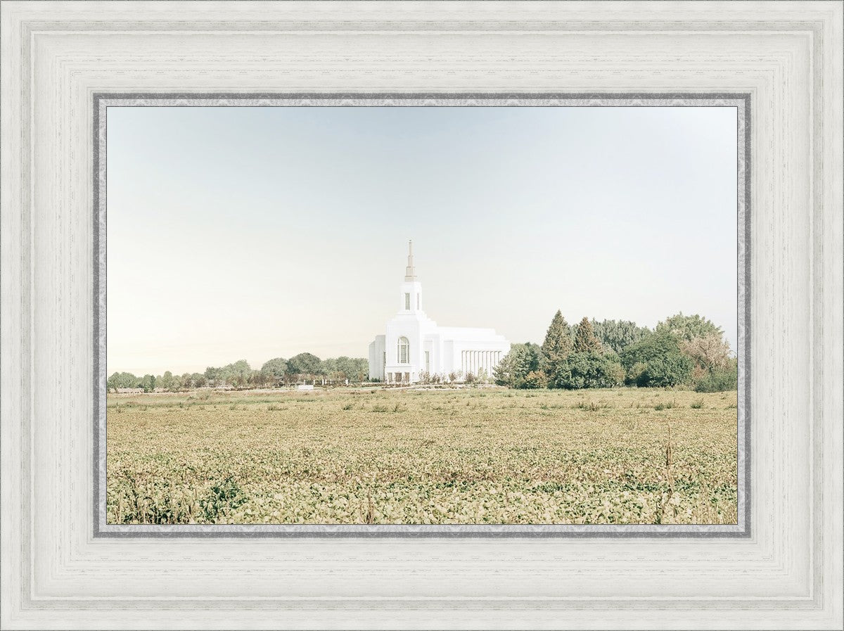 Burley Idaho Immaculate Embrace Blue