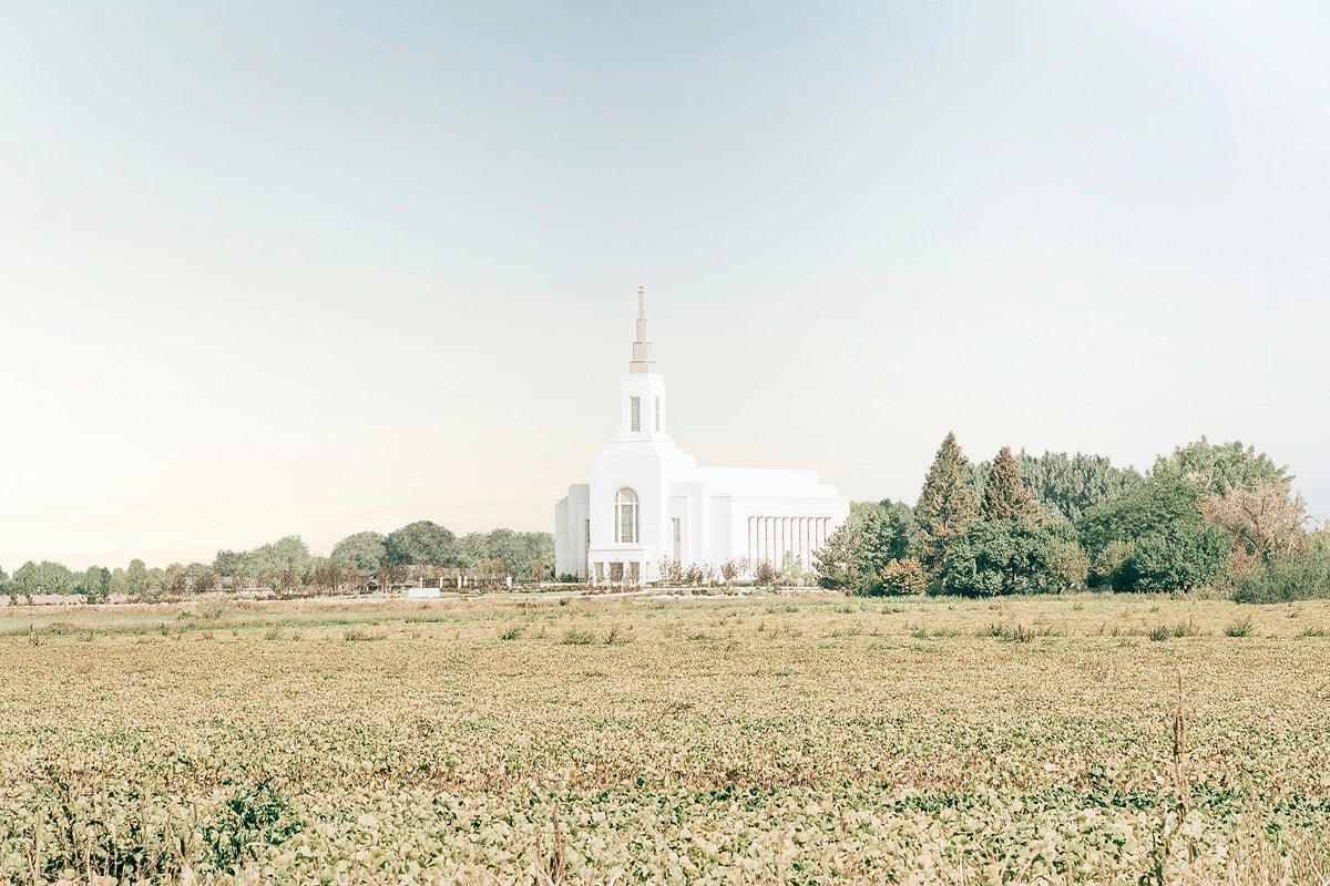 Burley Idaho Immaculate Embrace Blue