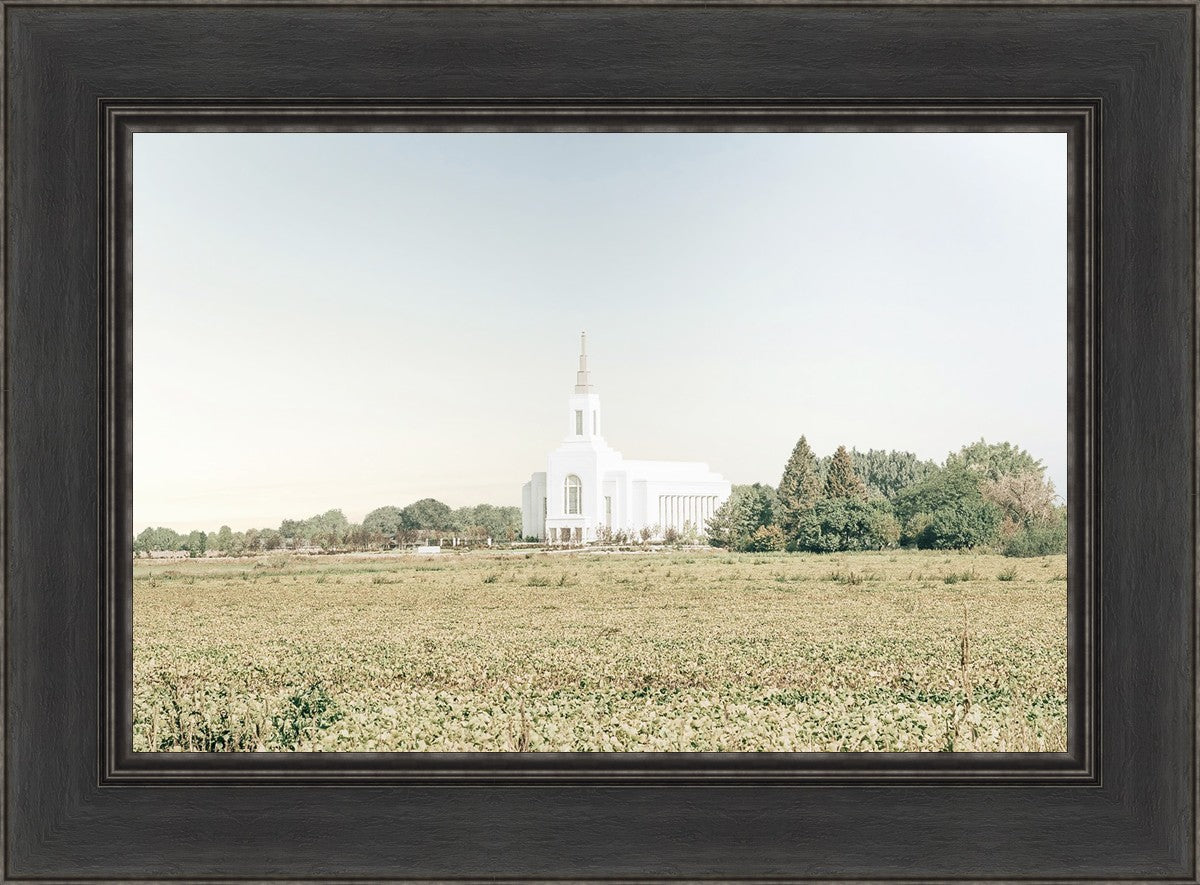 Burley Idaho Immaculate Embrace Blue