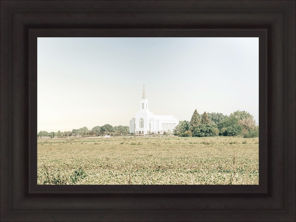 Burley Idaho Immaculate Embrace Blue