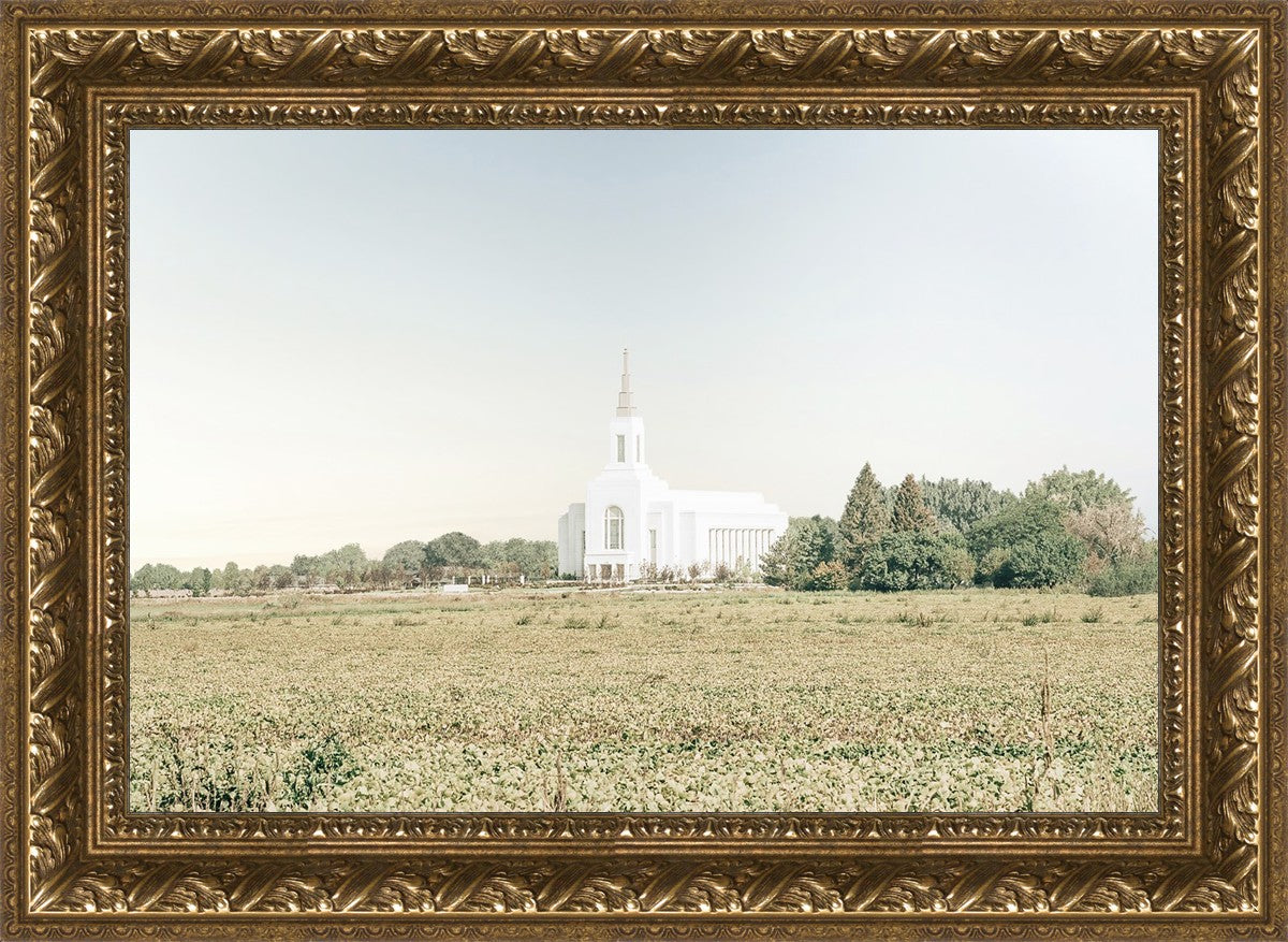 Burley Idaho Immaculate Embrace Blue