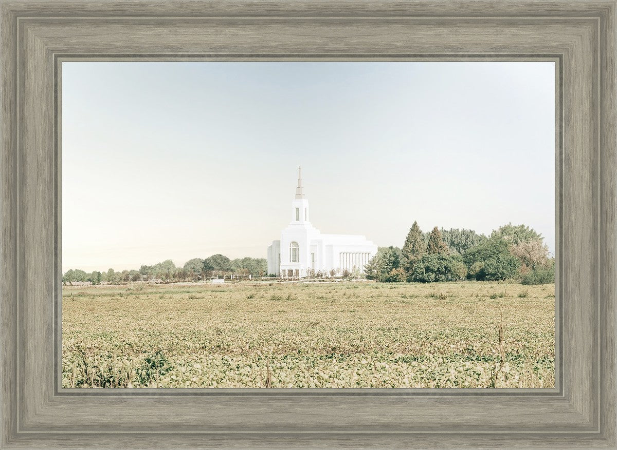 Burley Idaho Immaculate Embrace Blue