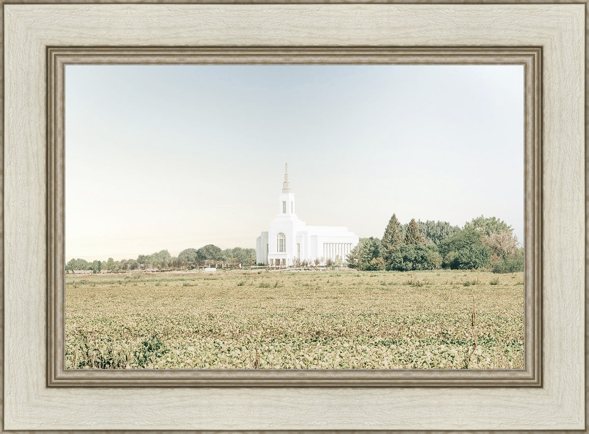 Burley Idaho Immaculate Embrace Blue