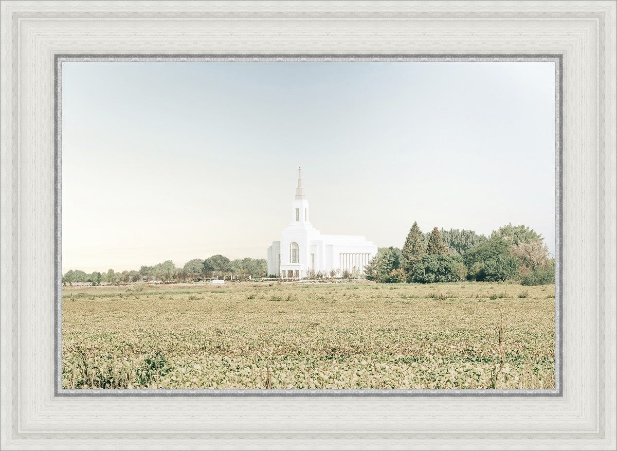 Burley Idaho Immaculate Embrace Blue