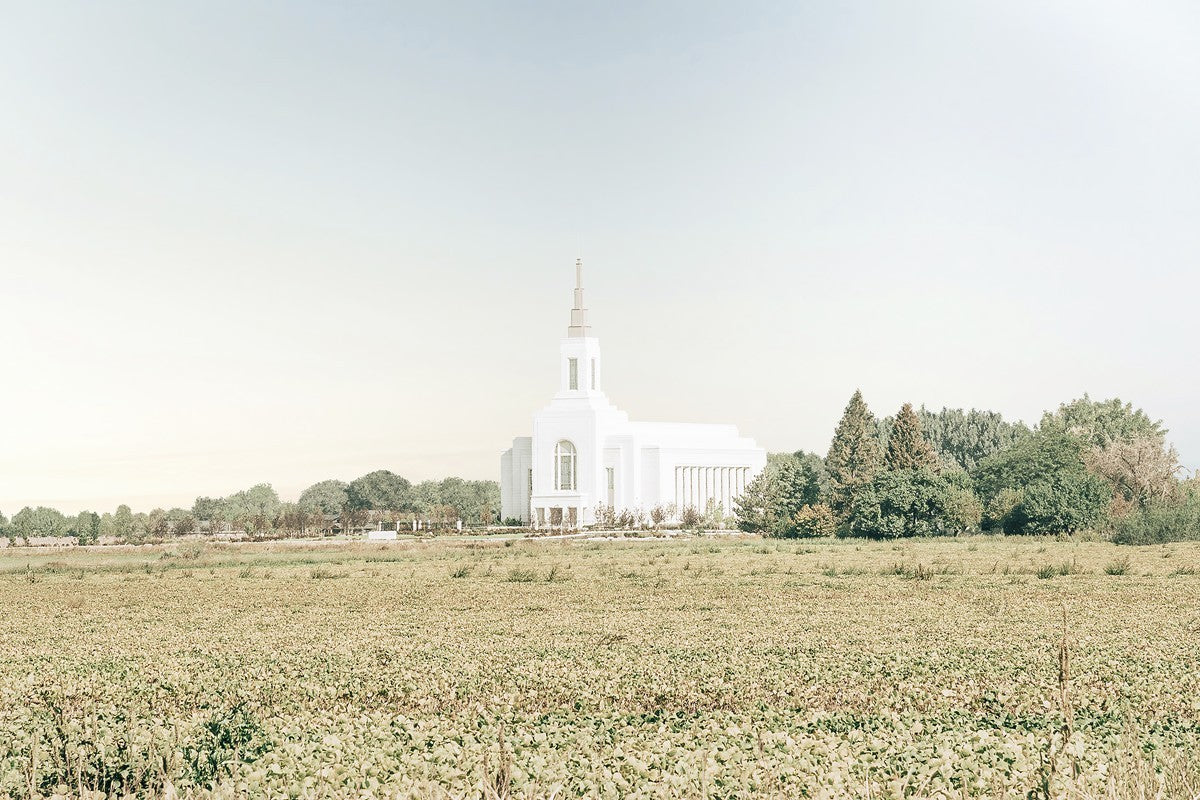 Burley Idaho Immaculate Embrace Blue