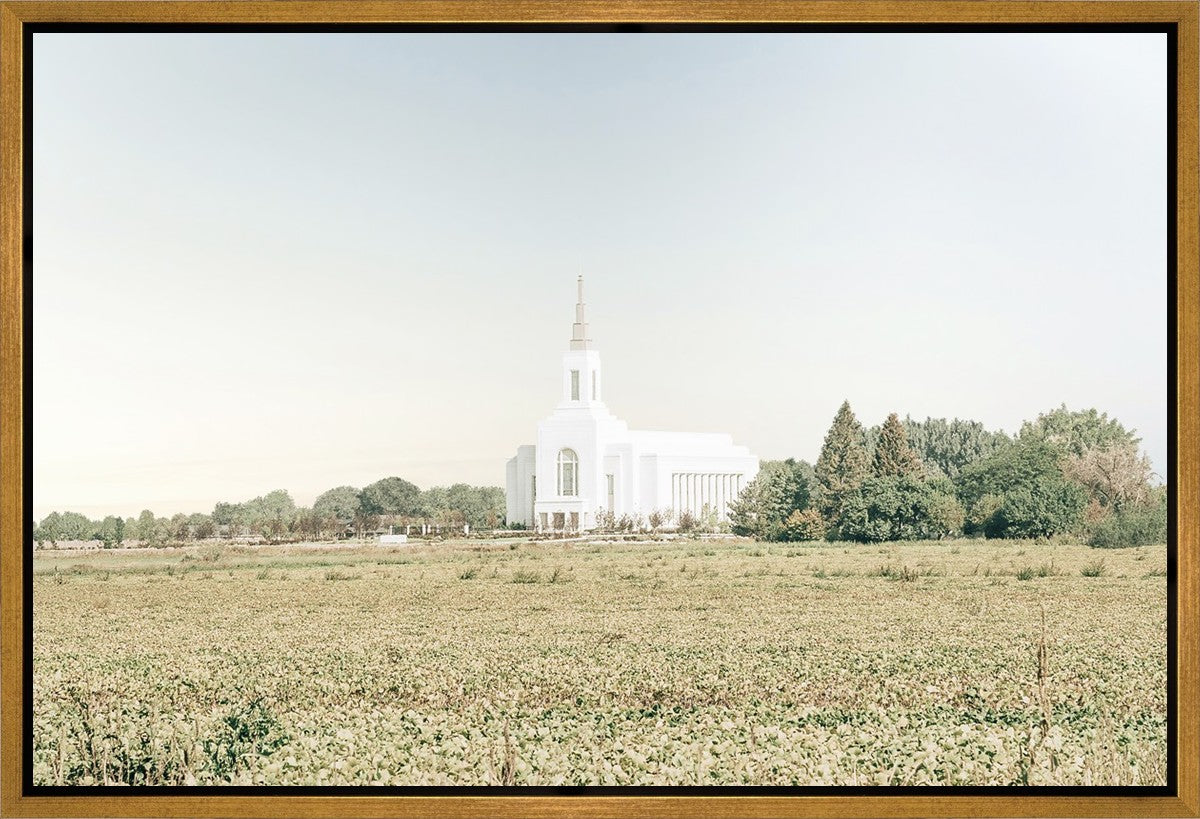 Burley Idaho Immaculate Embrace Blue