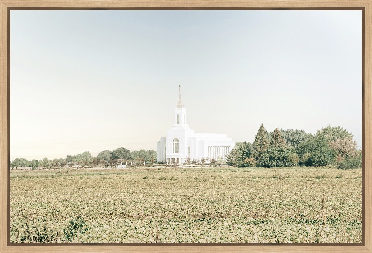 Burley Idaho Immaculate Embrace Blue