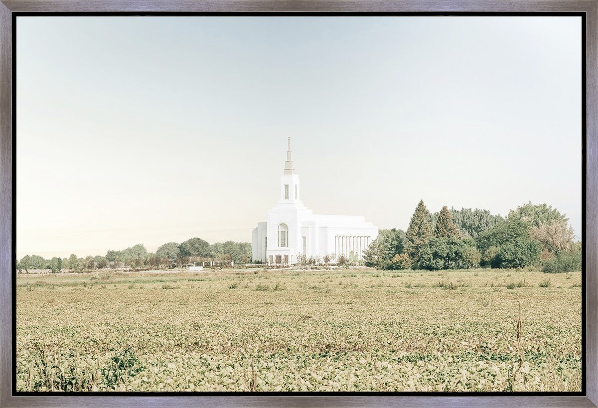 Burley Idaho Immaculate Embrace Blue