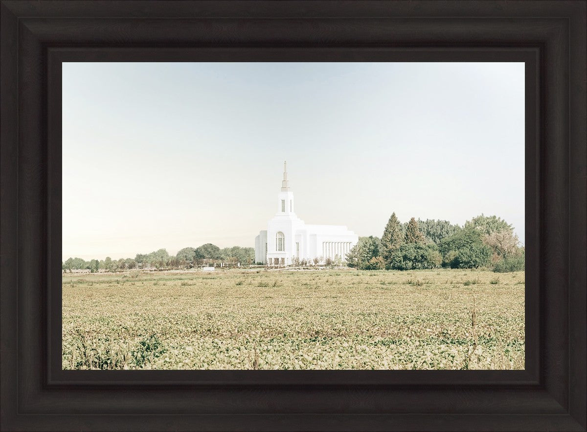 Burley Idaho Immaculate Embrace Blue