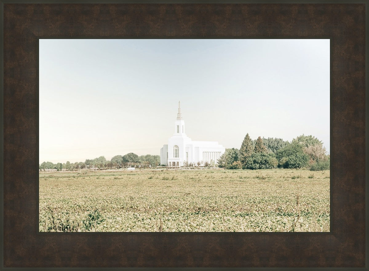 Burley Idaho Immaculate Embrace Blue