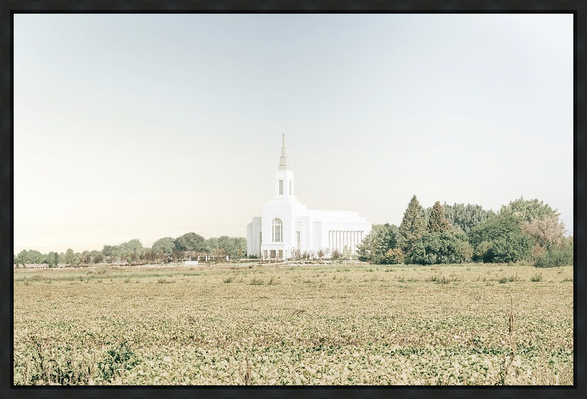 Burley Idaho Immaculate Embrace Blue