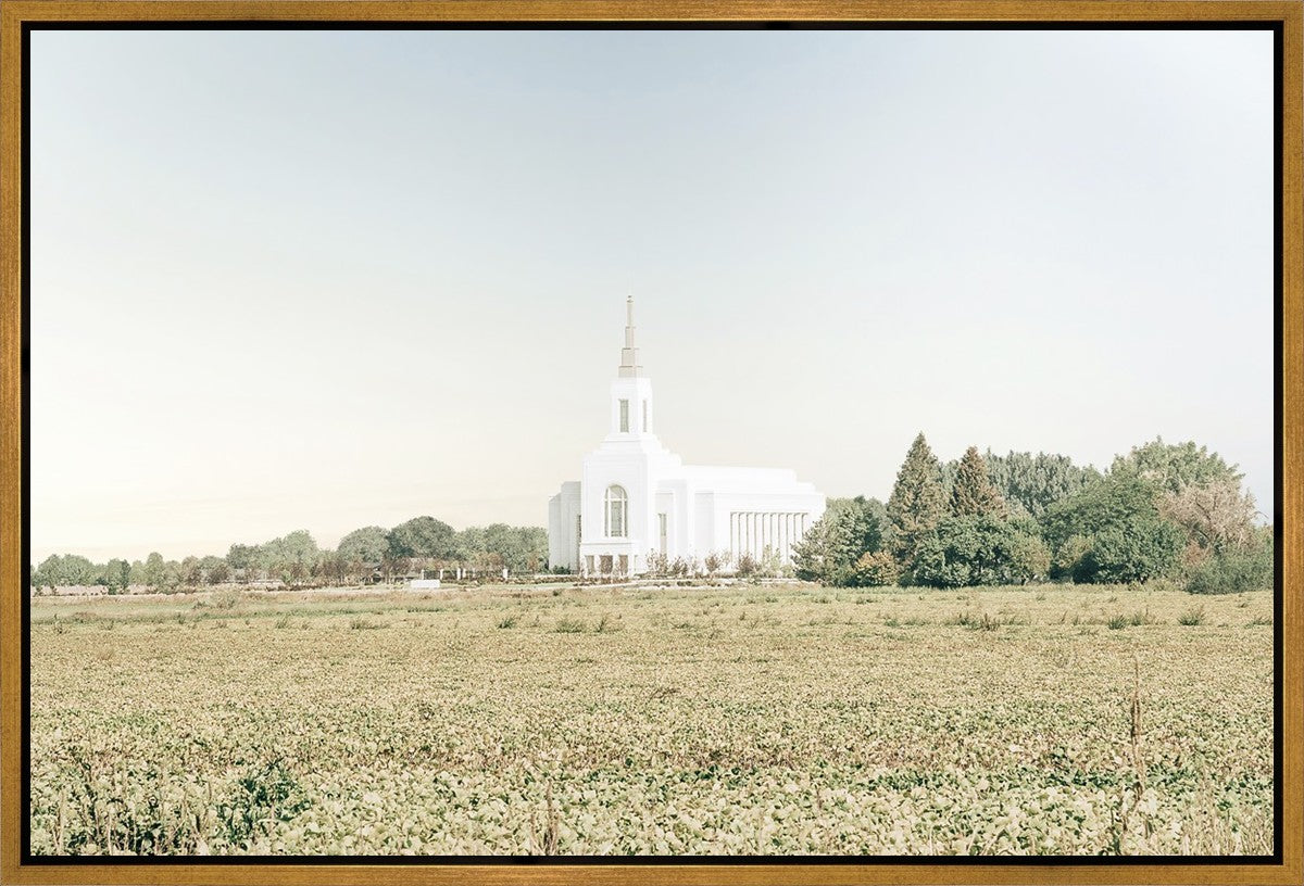 Burley Idaho Immaculate Embrace Blue