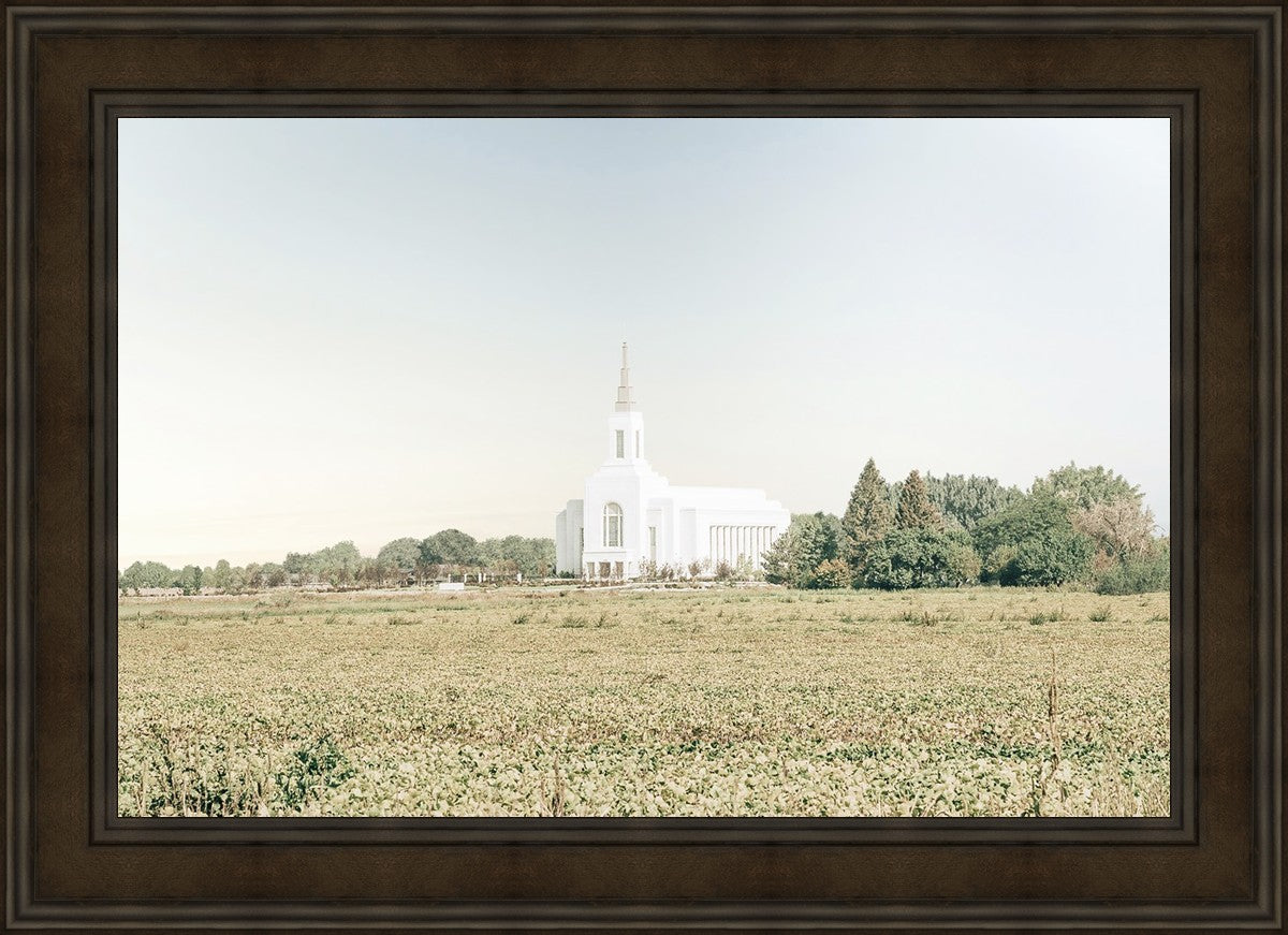 Burley Idaho Immaculate Embrace Blue