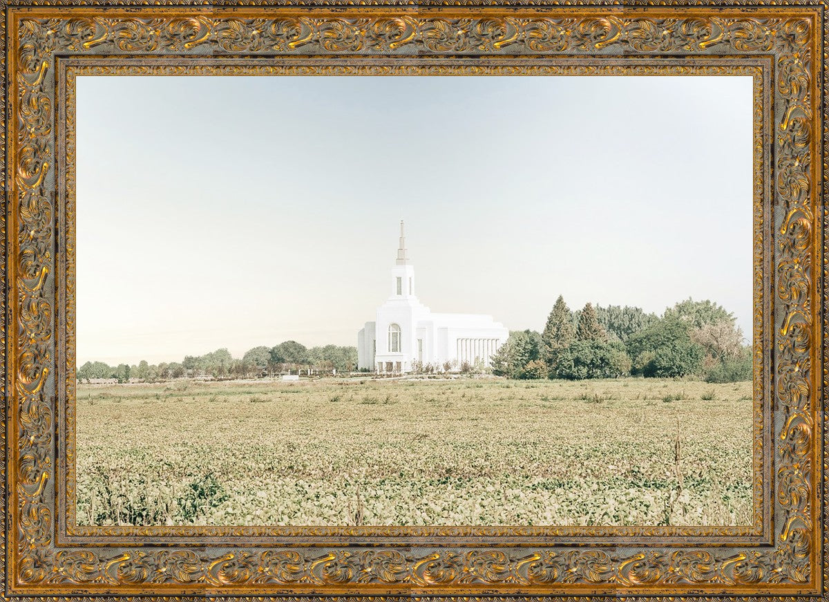 Burley Idaho Immaculate Embrace Blue