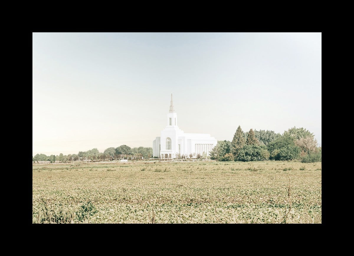 Burley Idaho Immaculate Embrace Blue