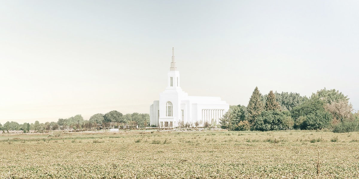 Burley Idaho Immaculate Embrace Blue