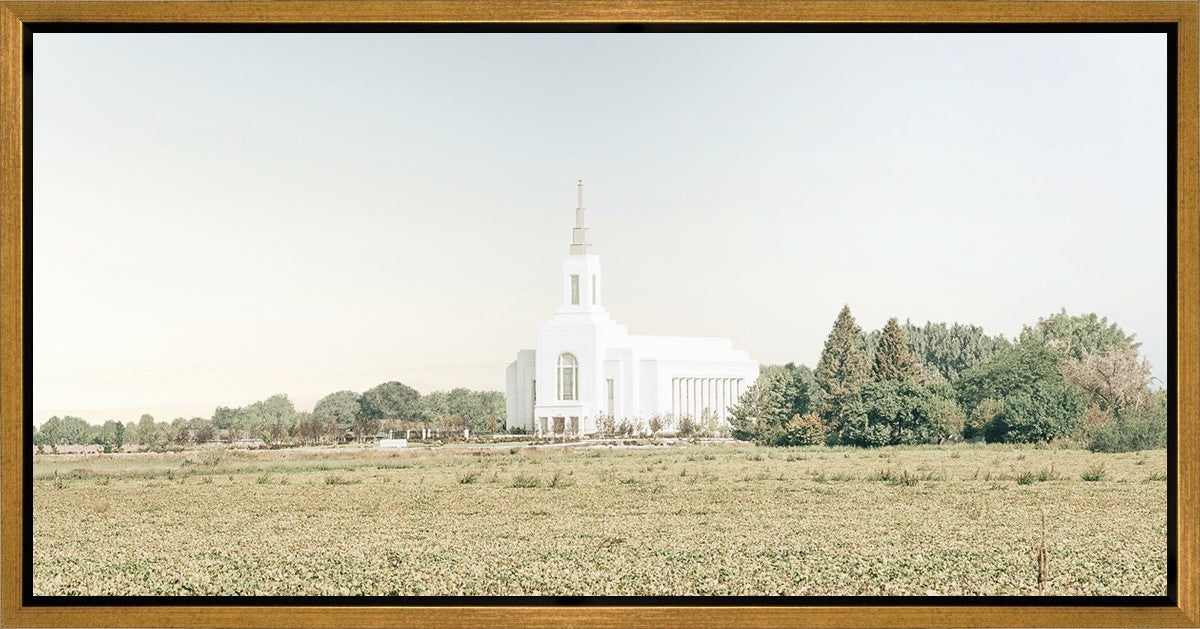 Burley Idaho Immaculate Embrace Blue