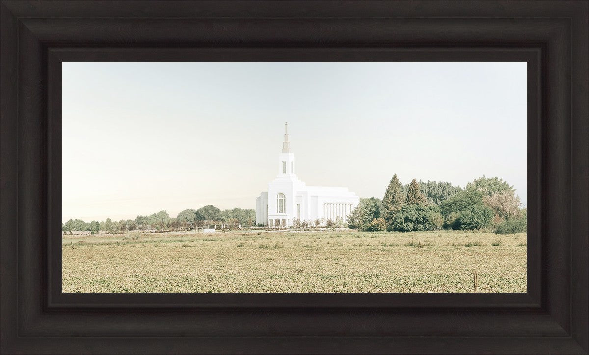 Burley Idaho Immaculate Embrace Blue