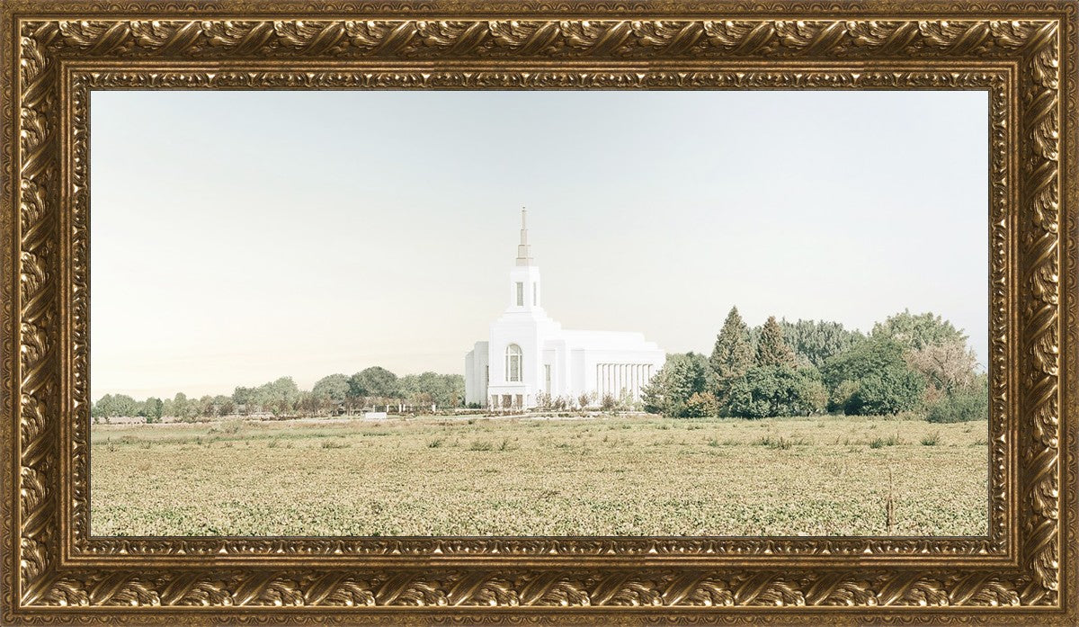 Burley Idaho Immaculate Embrace Blue