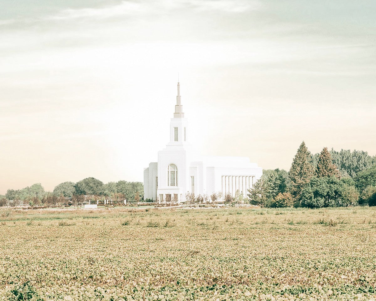 Burley Idaho Immaculate Embrace Pastel