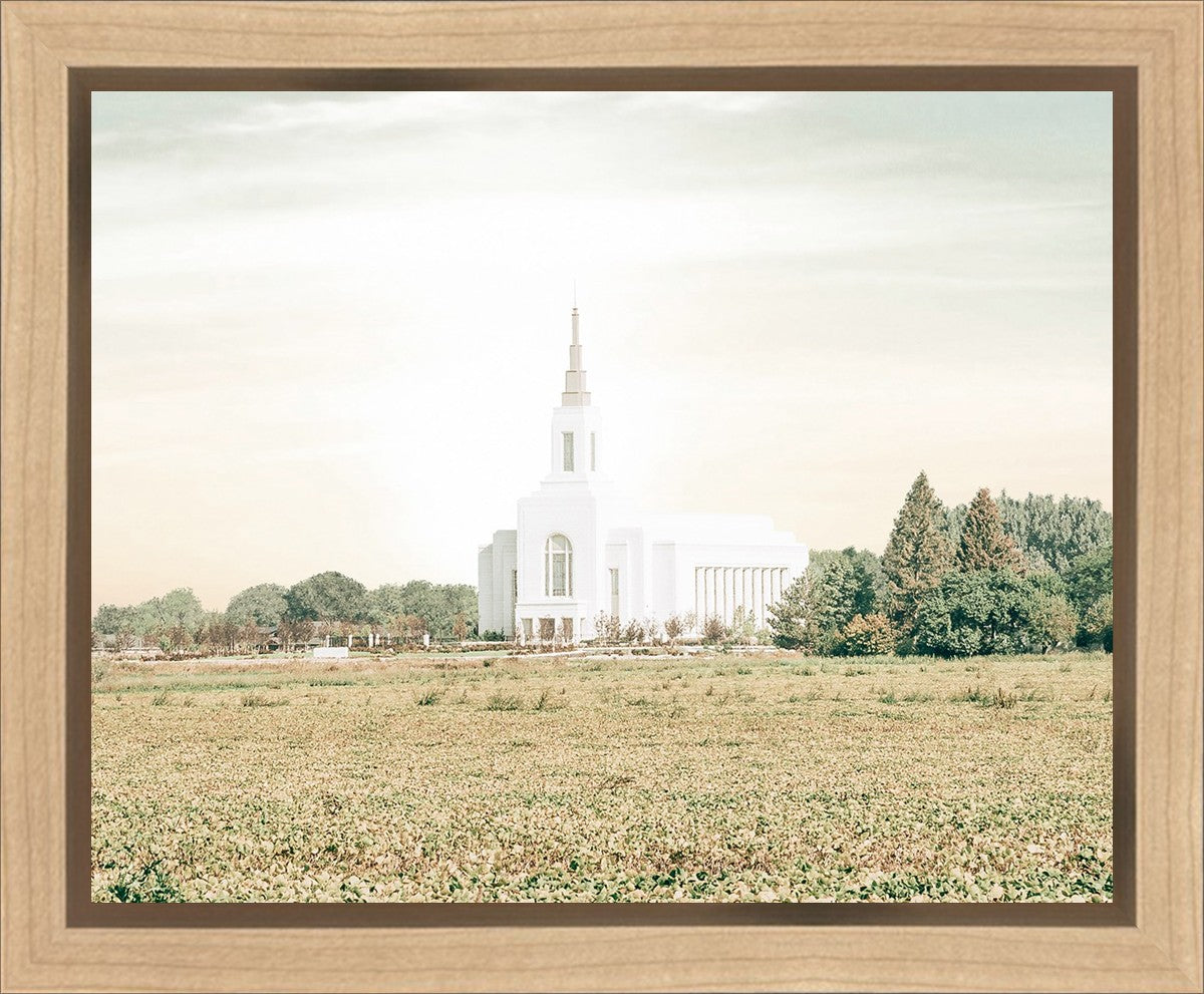 Burley Idaho Immaculate Embrace Pastel