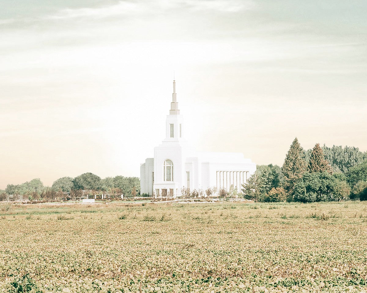 Burley Idaho Immaculate Embrace Pastel