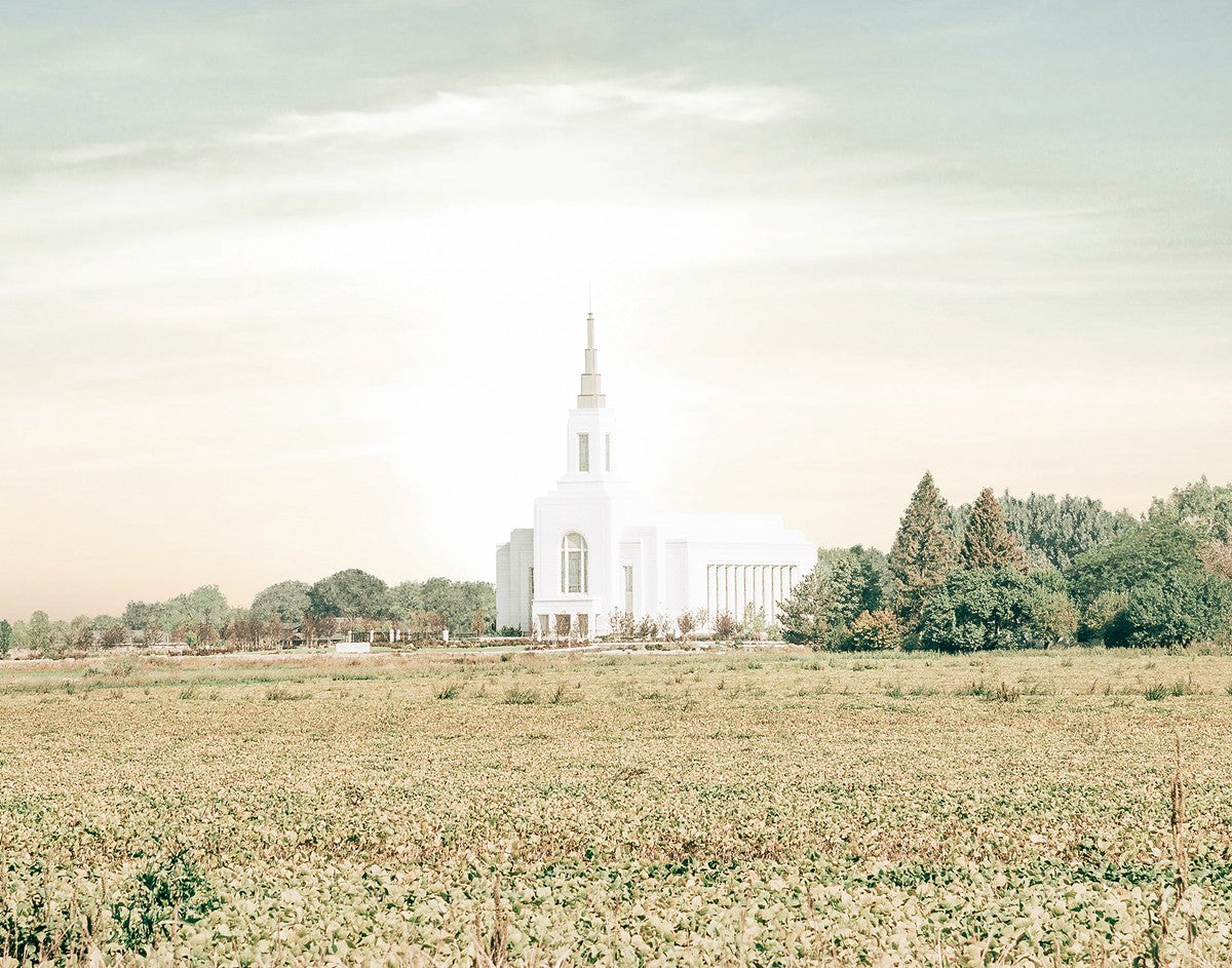 Burley Idaho Immaculate Embrace Pastel
