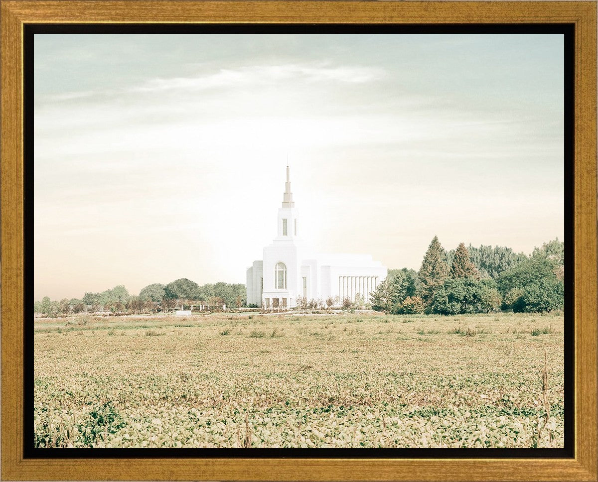 Burley Idaho Immaculate Embrace Pastel