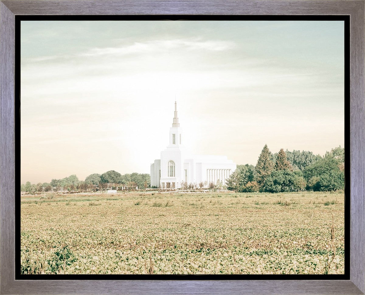 Burley Idaho Immaculate Embrace Pastel