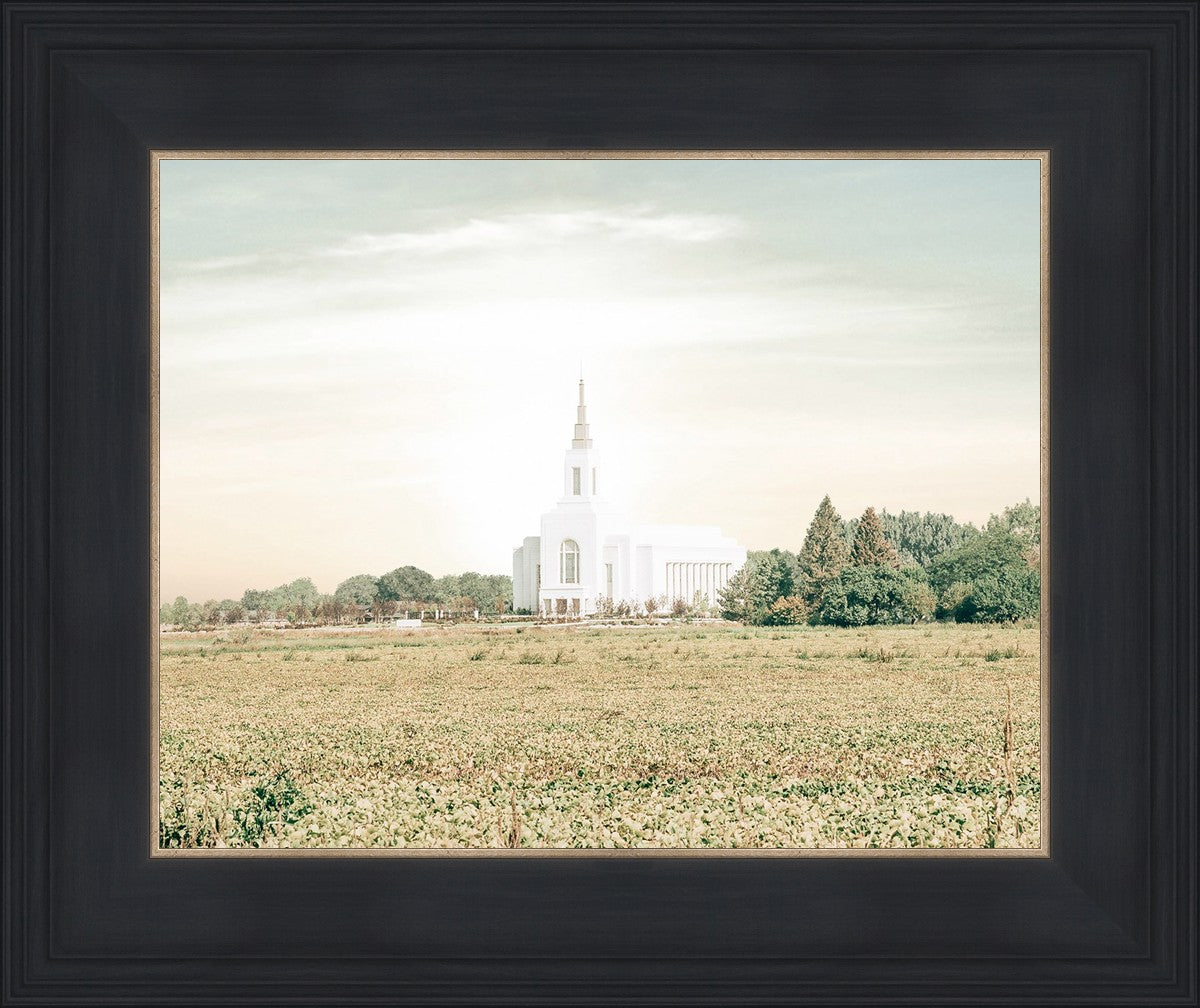 Burley Idaho Immaculate Embrace Pastel