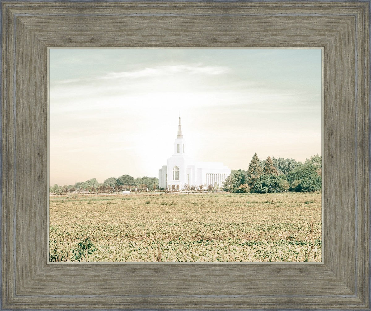 Burley Idaho Immaculate Embrace Pastel