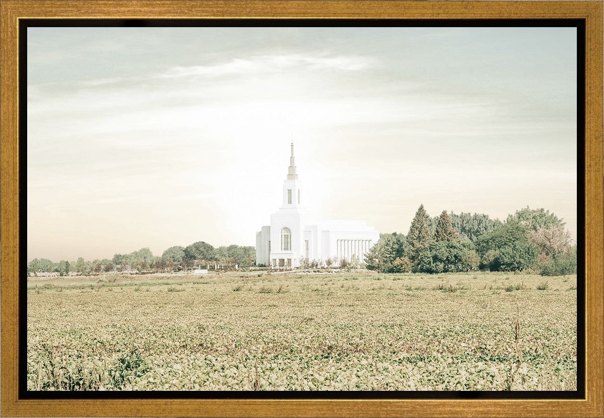 Burley Idaho Immaculate Embrace Pastel