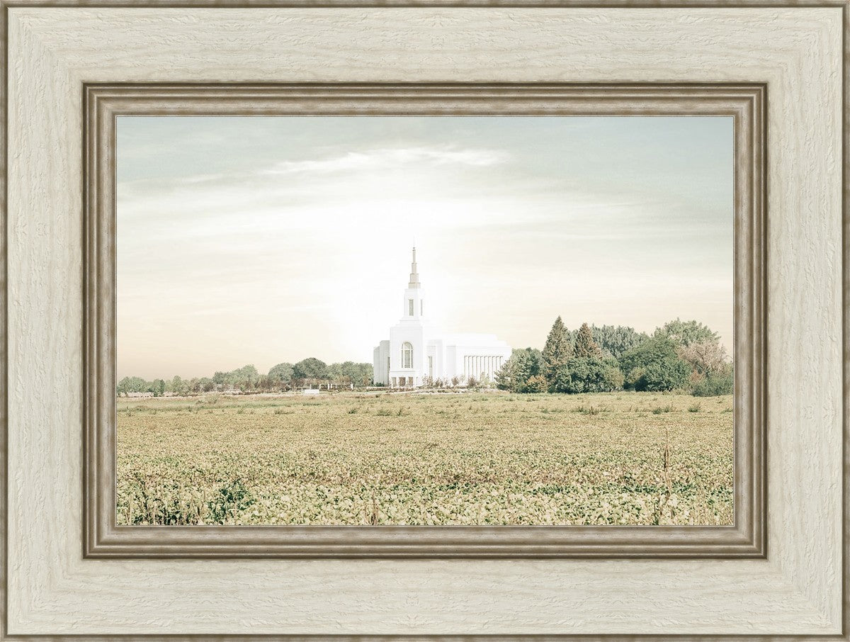 Burley Idaho Immaculate Embrace Pastel