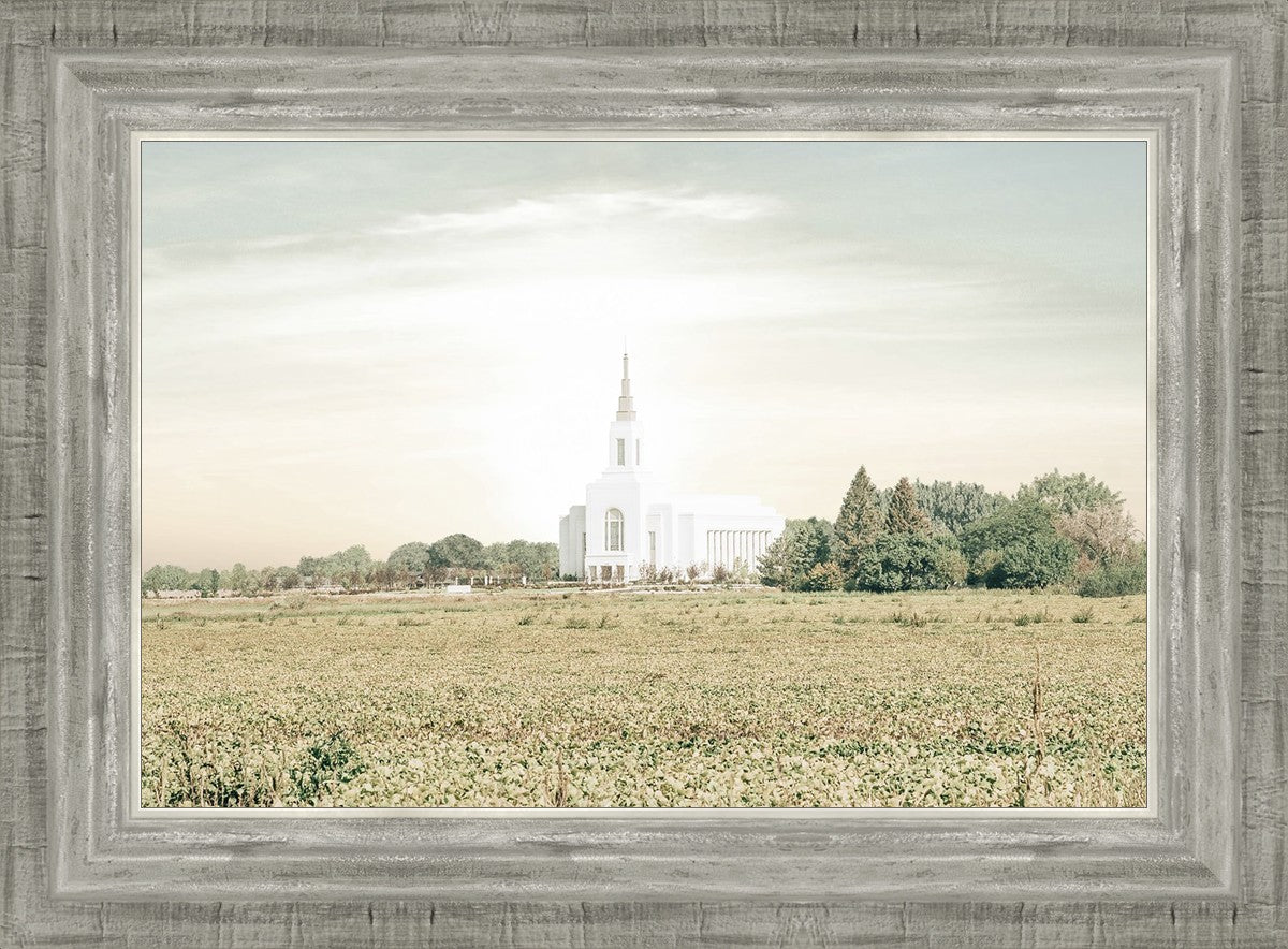 Burley Idaho Immaculate Embrace Pastel