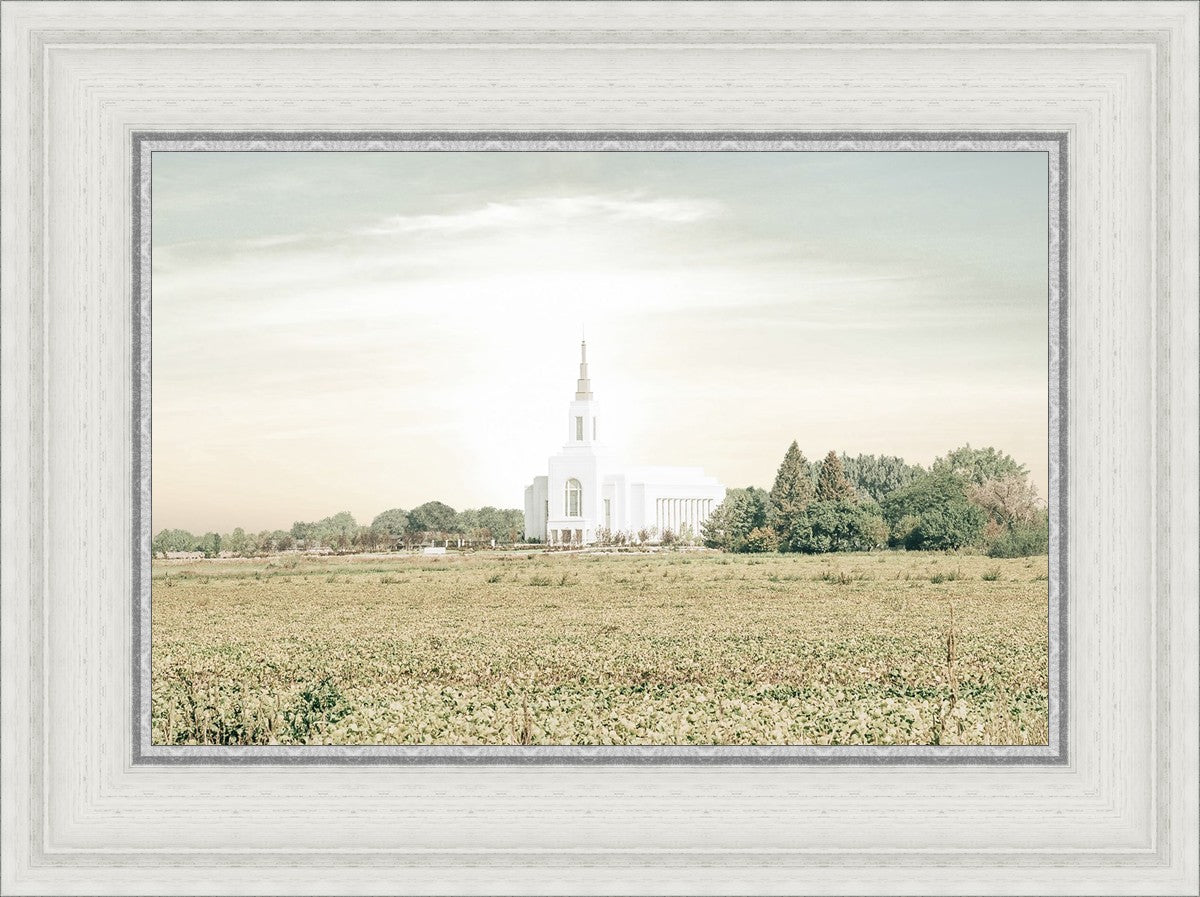 Burley Idaho Immaculate Embrace Pastel