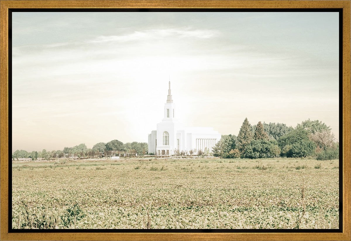 Burley Idaho Immaculate Embrace Pastel