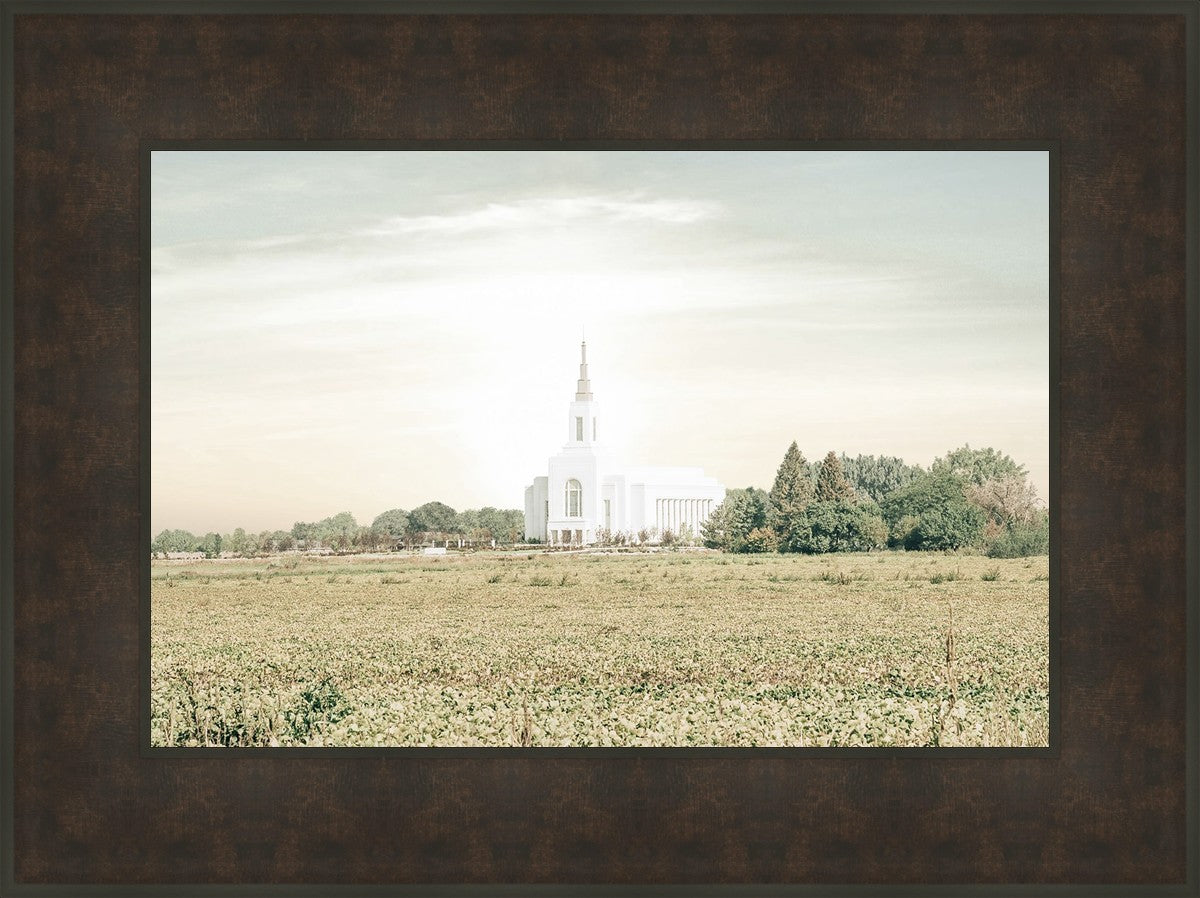 Burley Idaho Immaculate Embrace Pastel