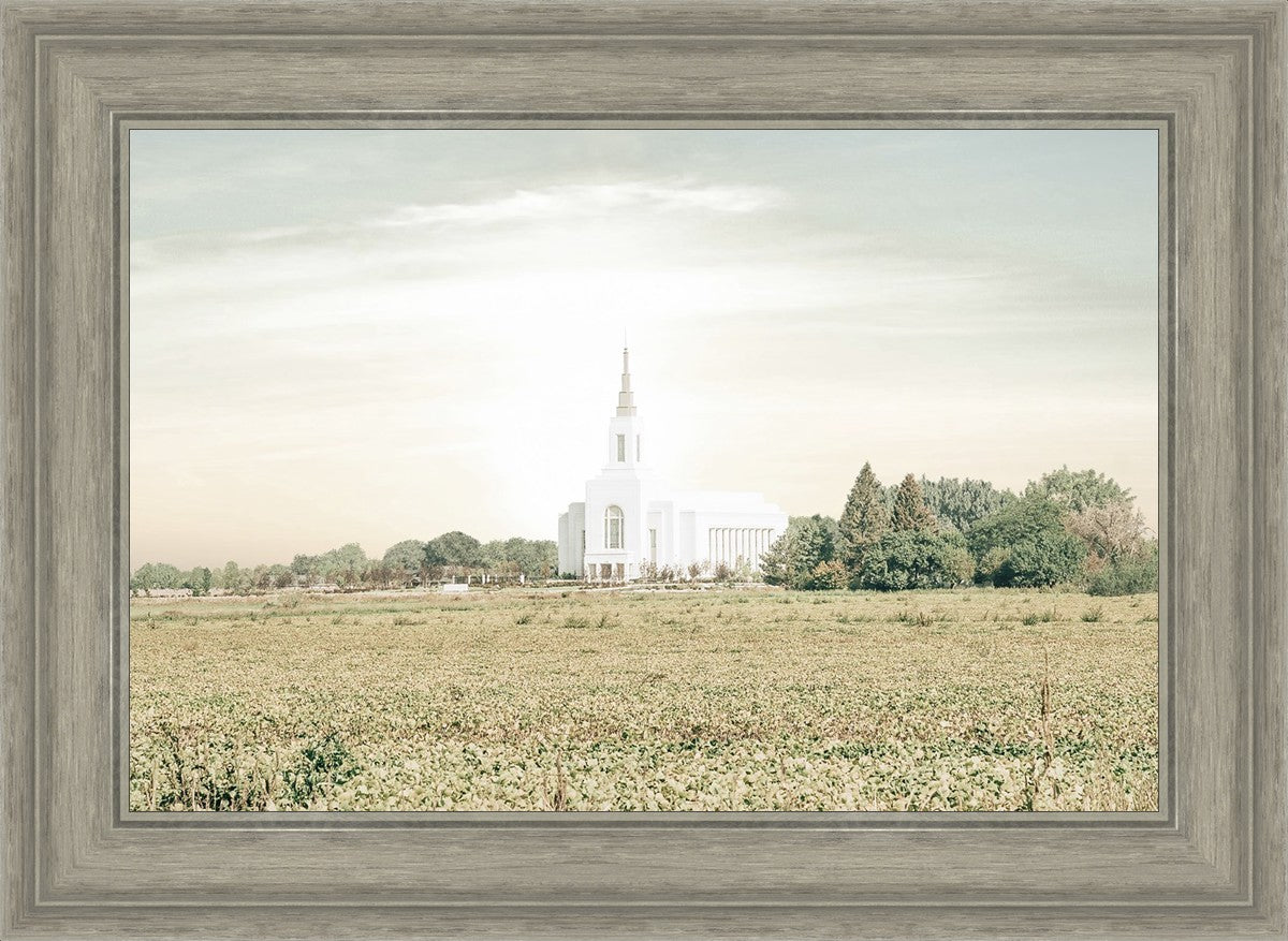 Burley Idaho Immaculate Embrace Pastel