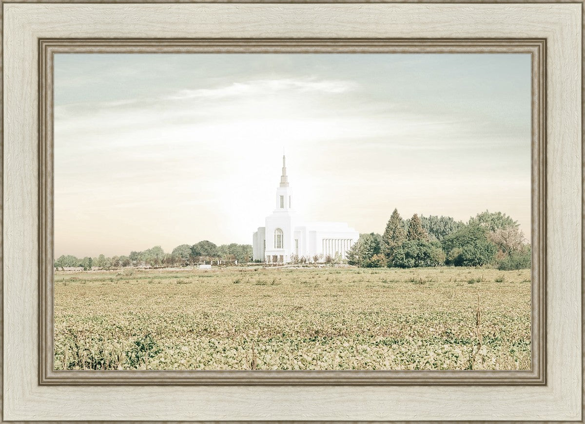 Burley Idaho Immaculate Embrace Pastel